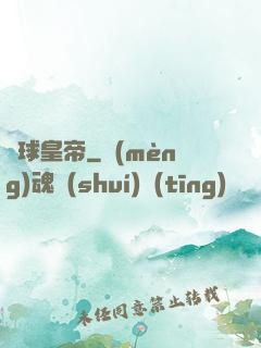 籃球皇帝