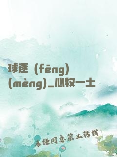 籃球逐風(fēng)夢(mèng)
