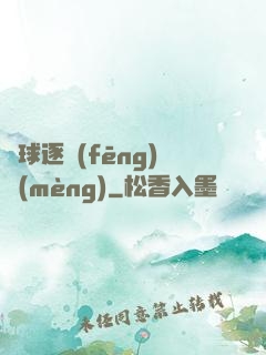 籃球逐風(fēng)夢(mèng)