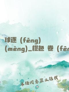 籃球逐風(fēng)夢(mèng)