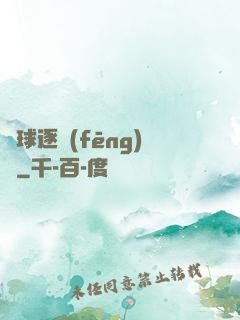籃球逐風(fēng)夢