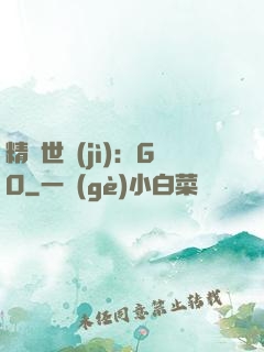 精靈世紀(jì)：GO