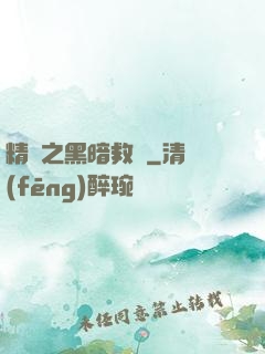 精靈之黑暗救贖