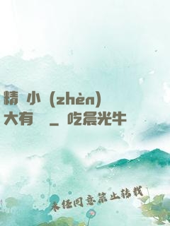 精靈小鎮(zhèn)大有問題