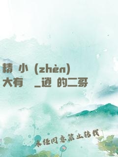 精靈小鎮(zhèn)大有問題
