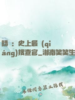精靈：史上最強(qiáng)搜查官