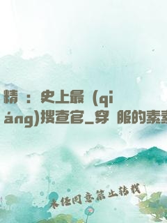 精靈：史上最強(qiáng)搜查官
