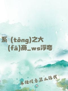 系統(tǒng)之大開發(fā)商