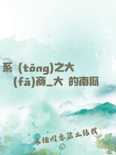 系統(tǒng)之大開發(fā)商