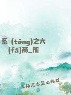 系統(tǒng)之大開發(fā)商