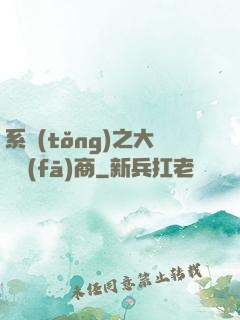 系統(tǒng)之大開發(fā)商