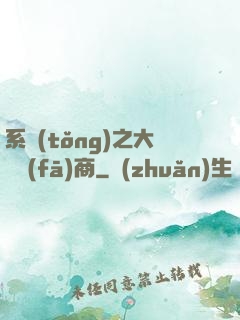 系統(tǒng)之大開發(fā)商