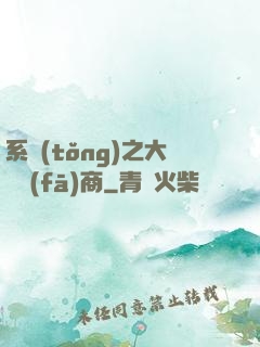 系統(tǒng)之大開發(fā)商