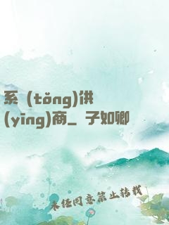 系統(tǒng)供應(yīng)商