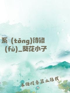 系統(tǒng)待修復(fù)