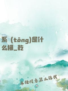 系統(tǒng)是什么桶