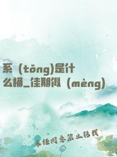 系統(tǒng)是什么桶