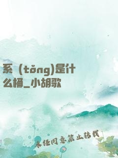 系統(tǒng)是什么桶