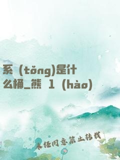 系統(tǒng)是什么桶