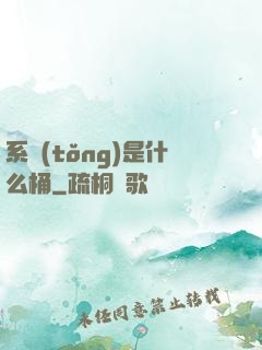 系統(tǒng)是什么桶