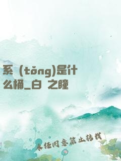 系統(tǒng)是什么桶