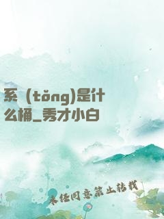 系統(tǒng)是什么桶