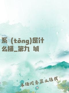 系統(tǒng)是什么桶