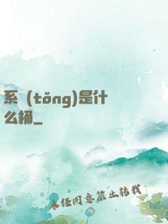系統(tǒng)是什么桶
