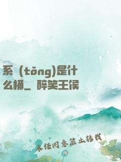 系統(tǒng)是什么桶