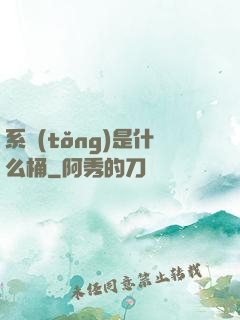 系統(tǒng)是什么桶