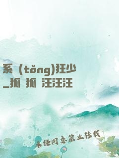 系統(tǒng)狂少