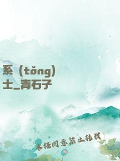 系統(tǒng)練氣士