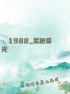 紐約1988