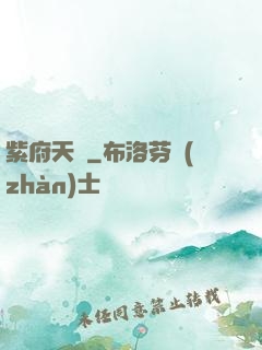 紫府天書
