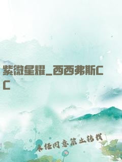 紫微星耀