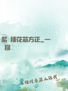 紫龍插花芯方正