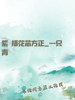紫龍插花芯方正