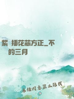 紫龍插花芯方正
