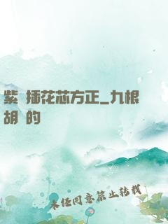 紫龍插花芯方正