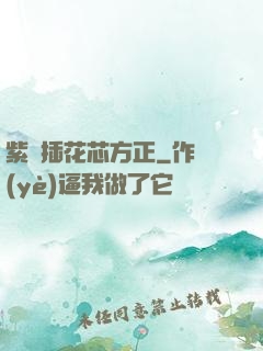 紫龍插花芯方正