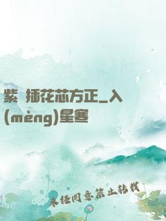 紫龍插花芯方正