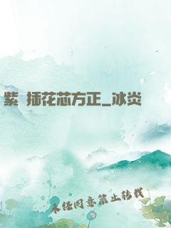 紫龍插花芯方正