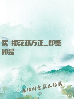 紫龍插花芯方正
