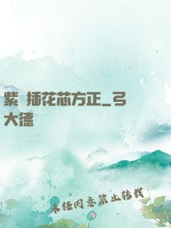紫龍插花芯方正