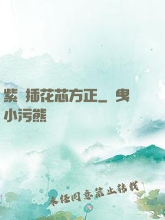 紫龍插花芯方正
