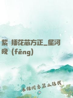 紫龍插花芯方正