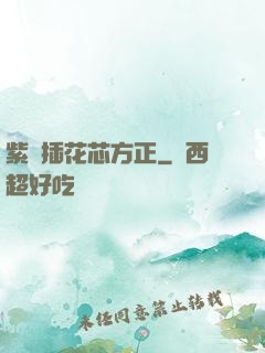 紫龍插花芯方正