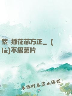 紫龍插花芯方正