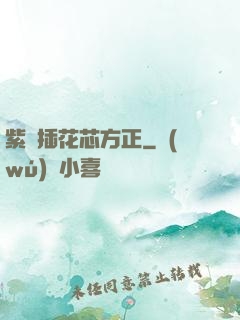 紫龍插花芯方正