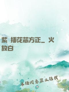 紫龍插花芯方正